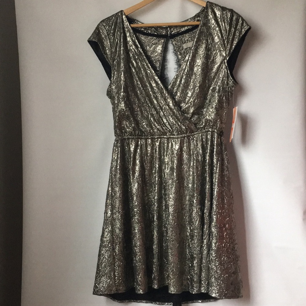 NWT GB Size L Dress
